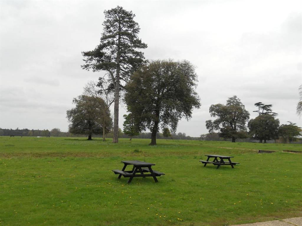 The Stables At Henham Park Panzió Southwold Kültér fotó
